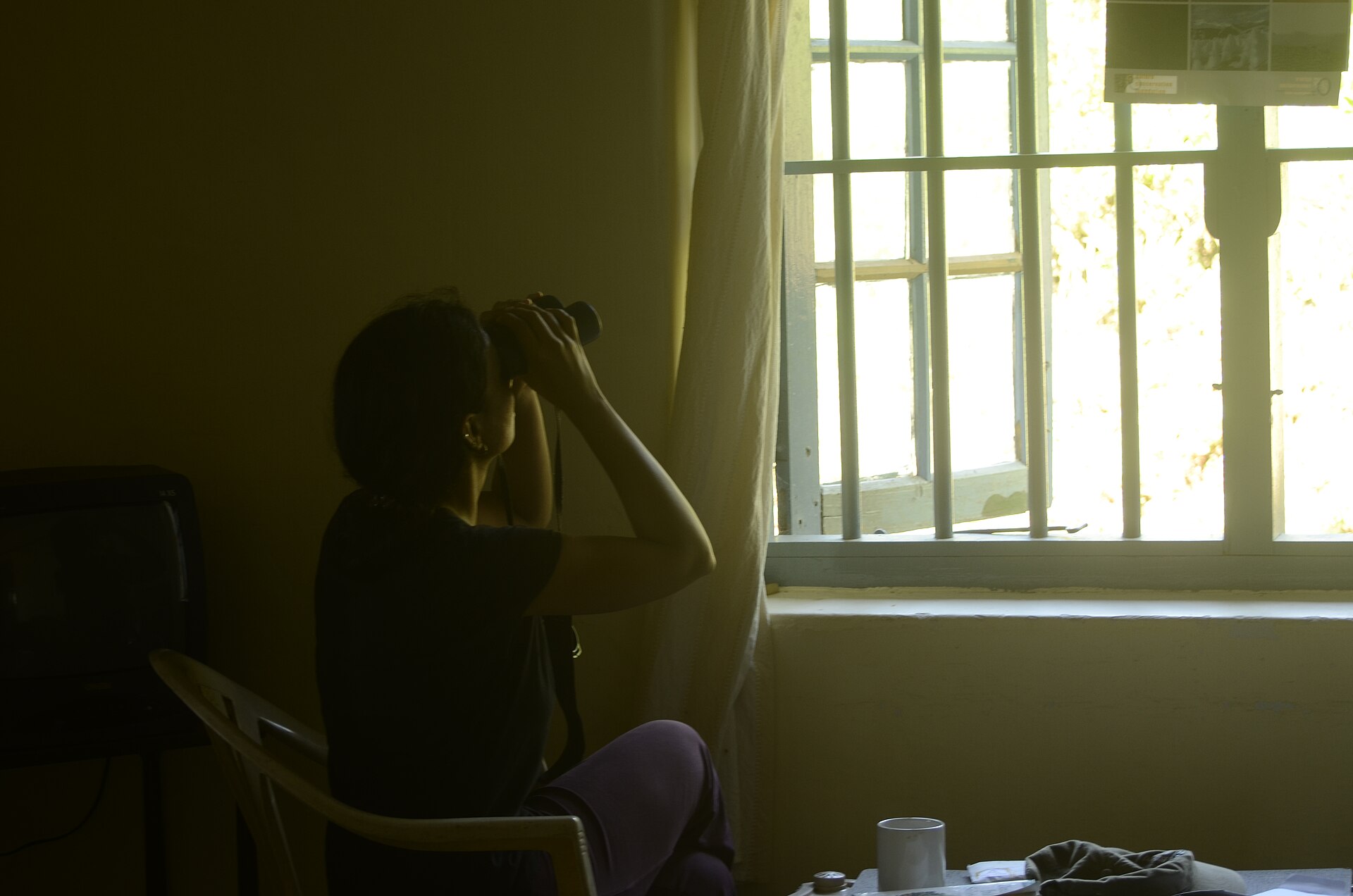 A person uses binoculars while seated near a barred window, reflecting on film's visual storytelling.